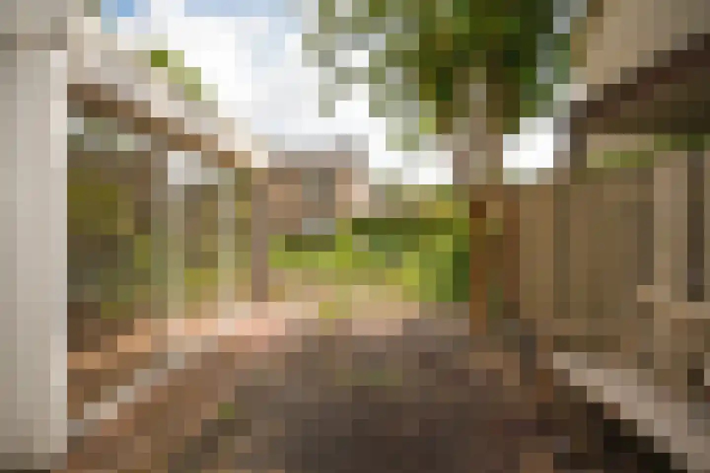 Dokter Landmanstraat 9 Helvoirt thumbnail 34