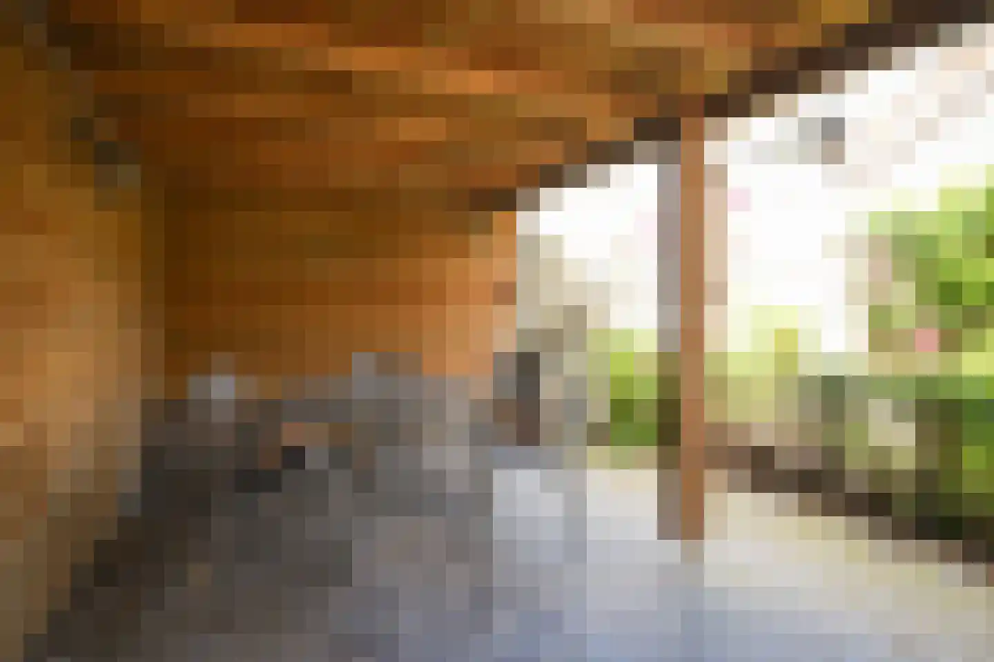 Dokter Landmanstraat 9 Helvoirt thumbnail 37