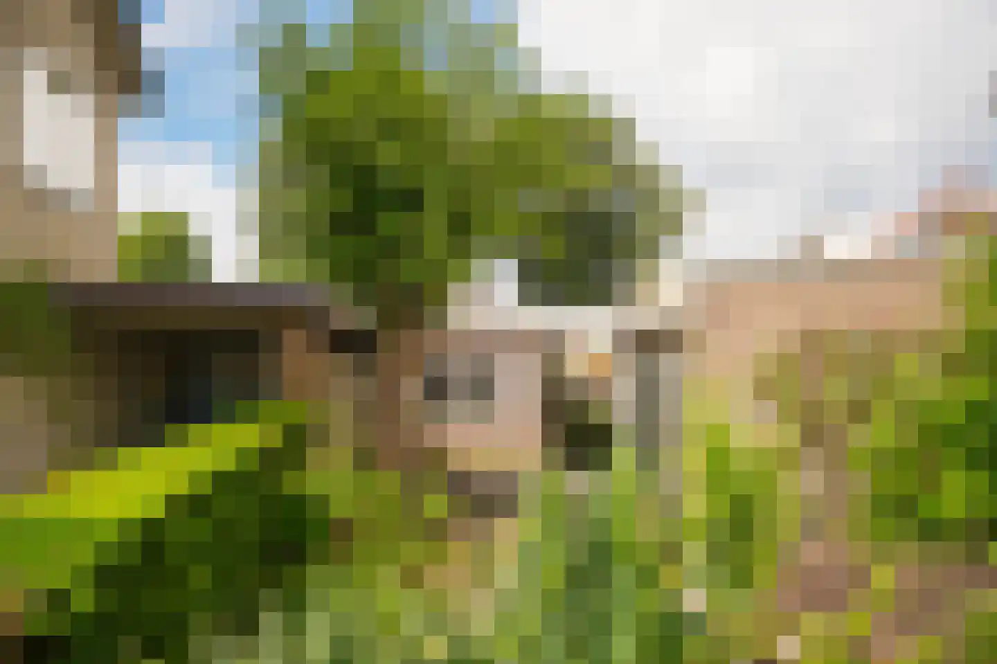 Dokter Landmanstraat 9 Helvoirt thumbnail 42