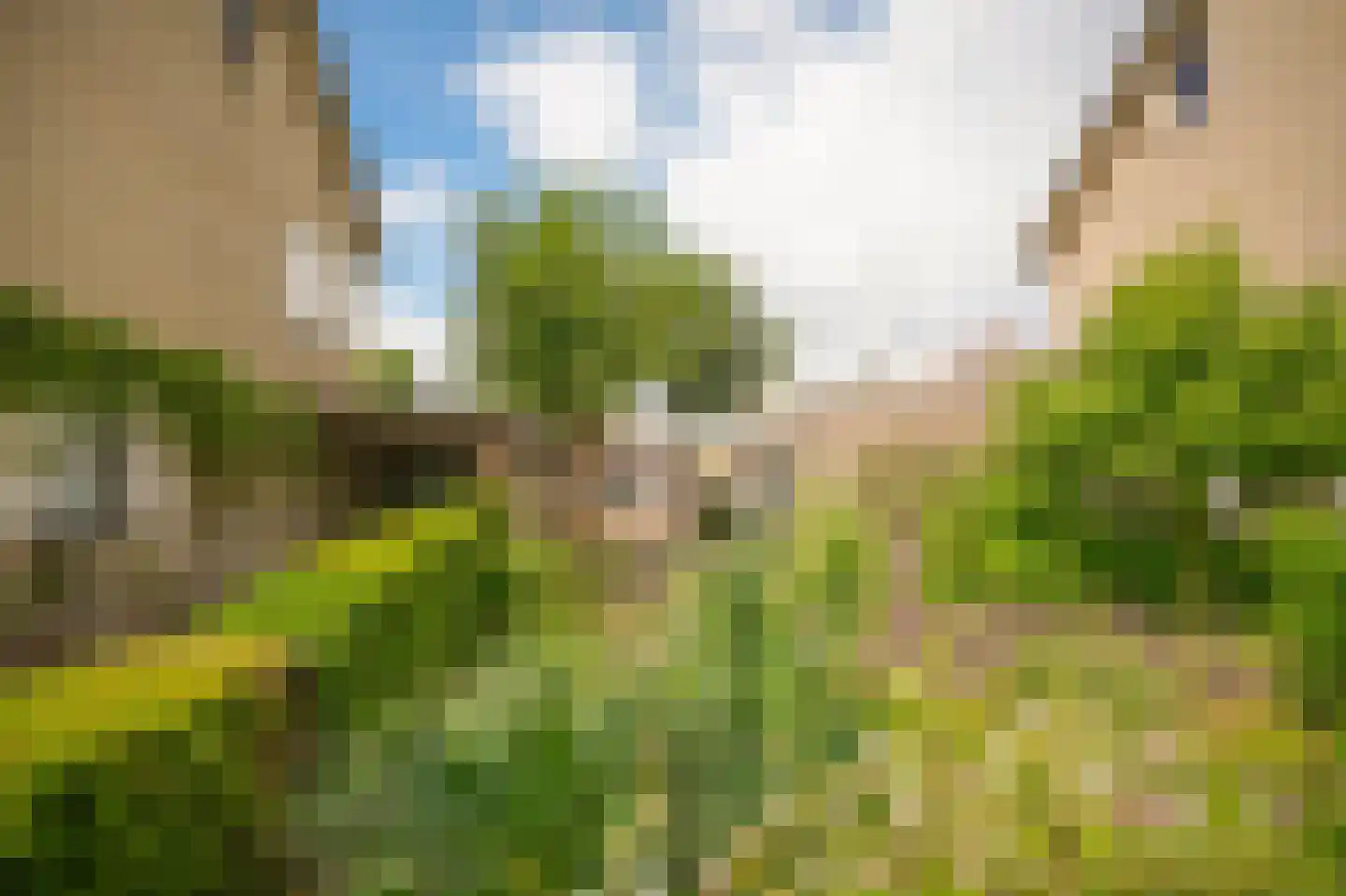 Dokter Landmanstraat 9 Helvoirt thumbnail 43