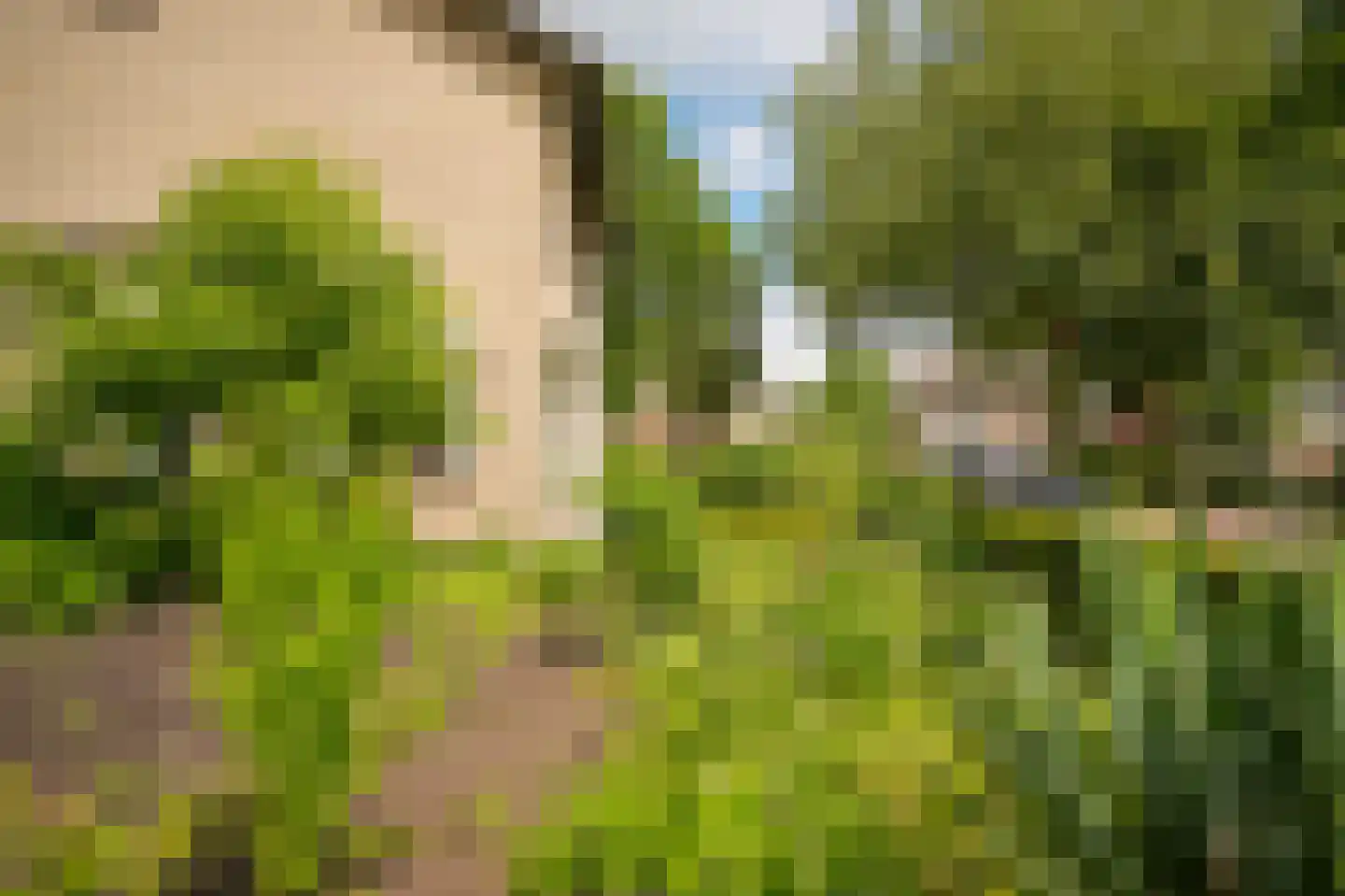 Dokter Landmanstraat 9 Helvoirt thumbnail 46