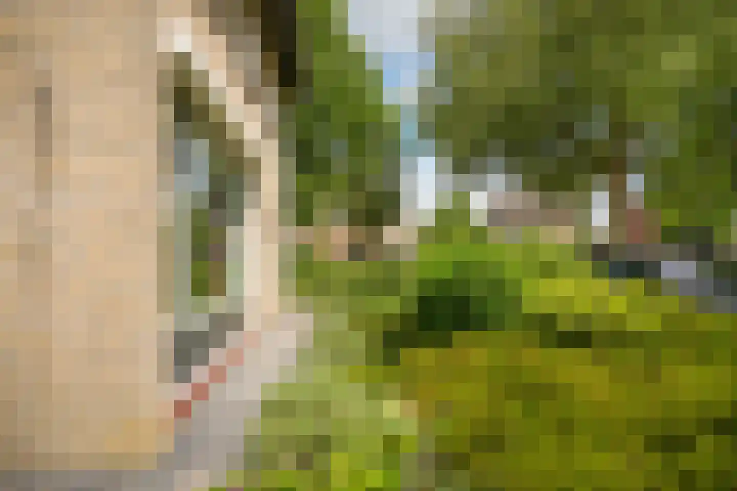 Dokter Landmanstraat 9 Helvoirt thumbnail 47