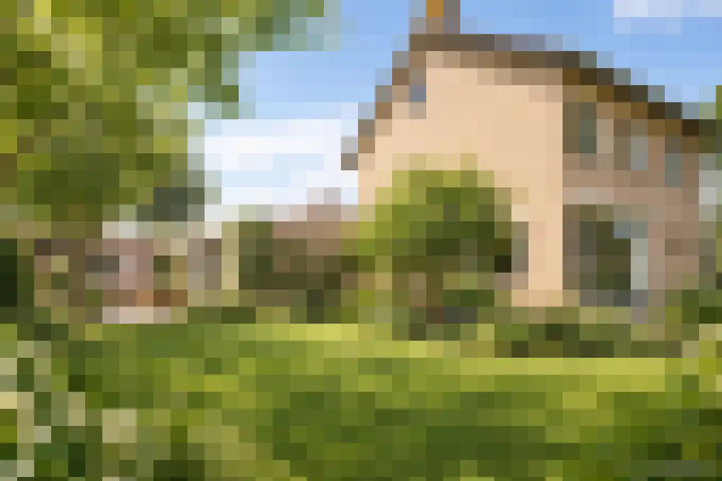 Dokter Landmanstraat 9 Helvoirt thumbnail 49