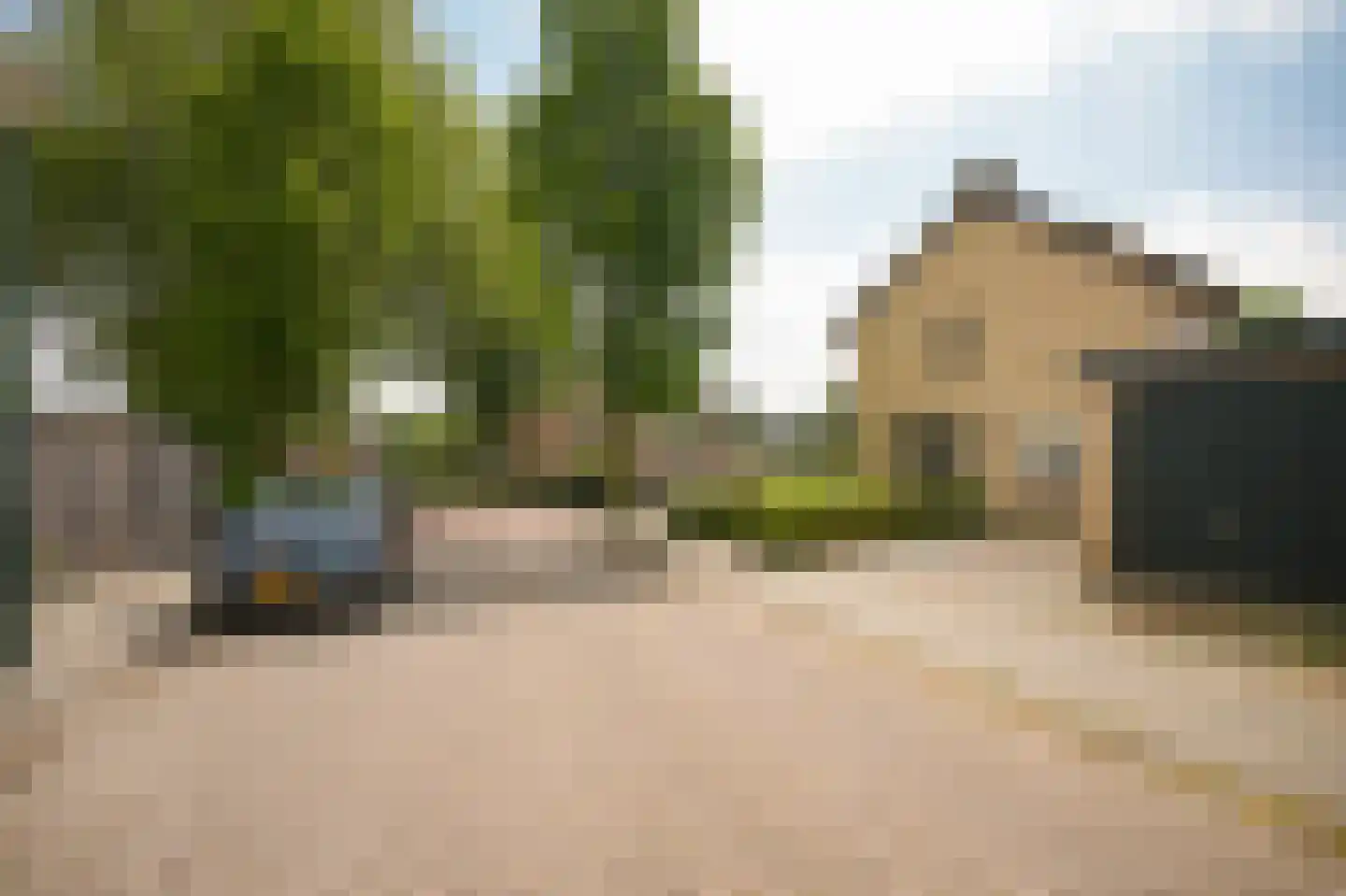 Dokter Landmanstraat 9 Helvoirt thumbnail 50