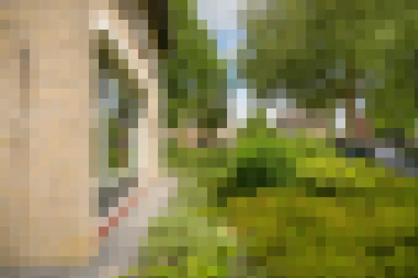 Dokter Landmanstraat 9 Helvoirt thumbnail 51