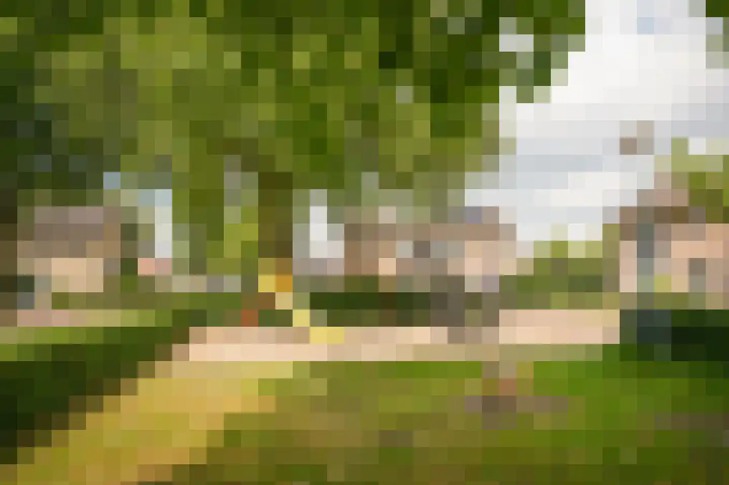 Dokter Landmanstraat 9 Helvoirt thumbnail 53