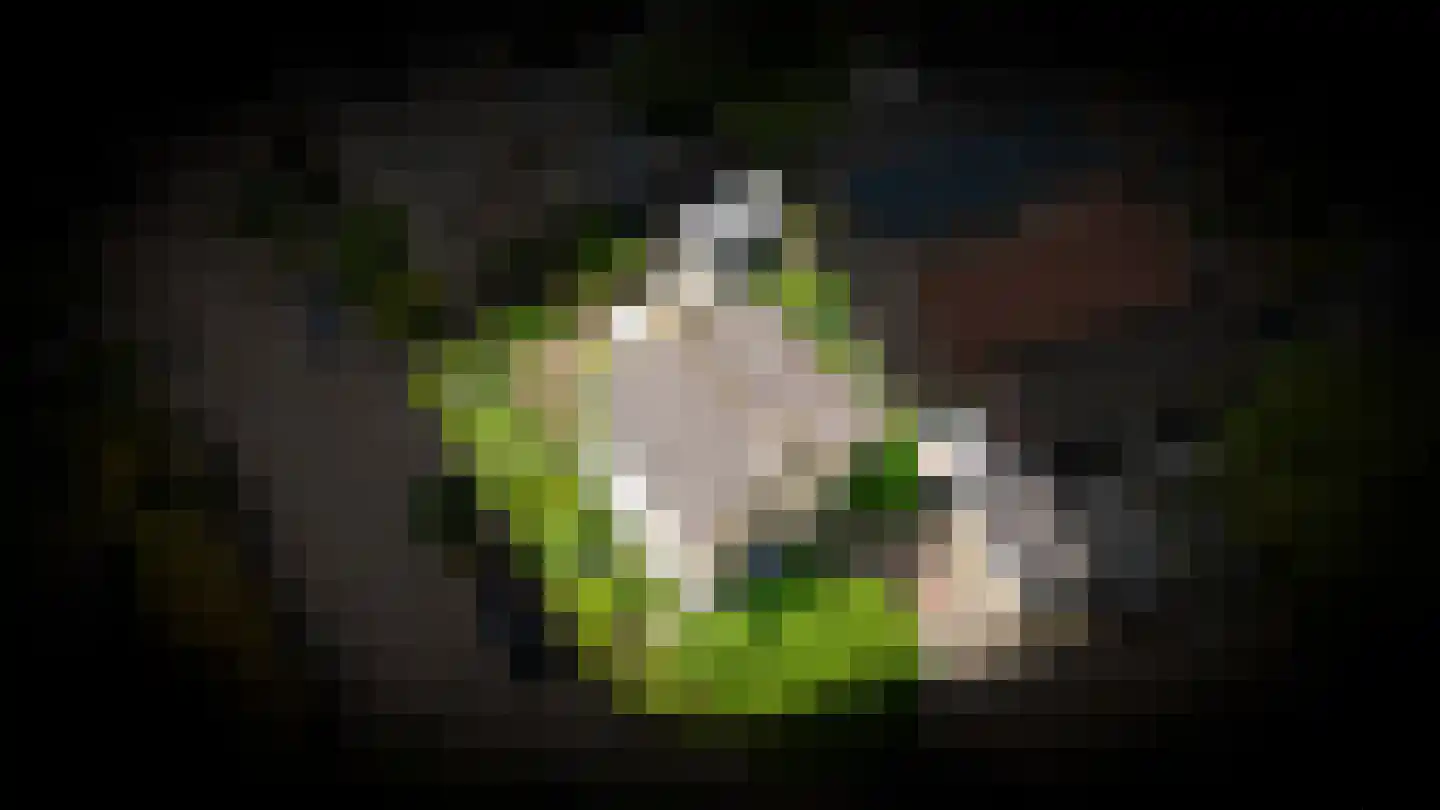 Dokter Landmanstraat 9 Helvoirt thumbnail 58