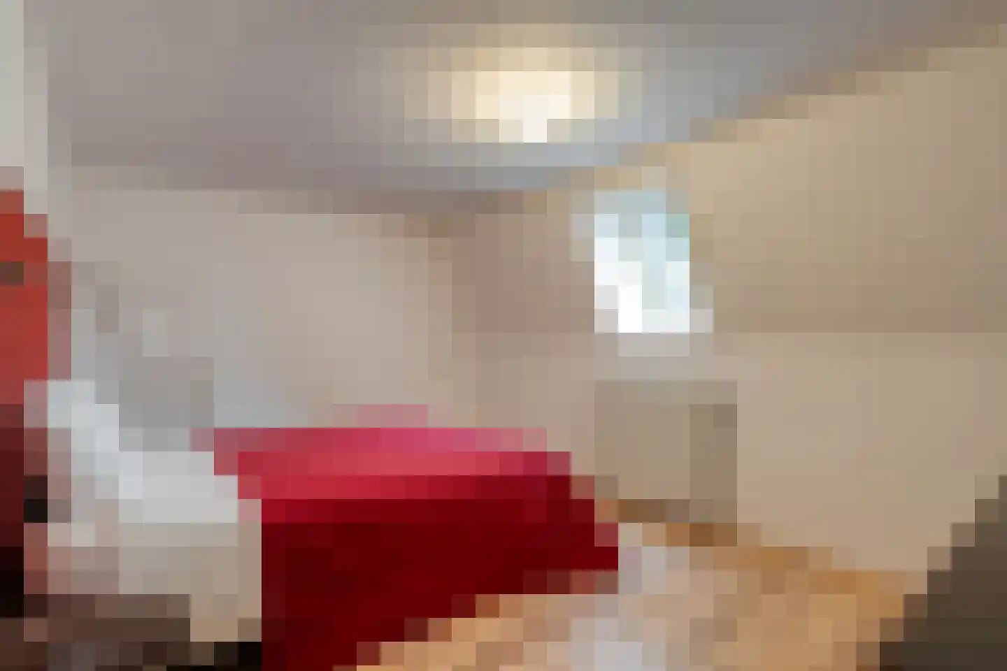 Dokter Larijweg 136 Ruinerwold thumbnail 102