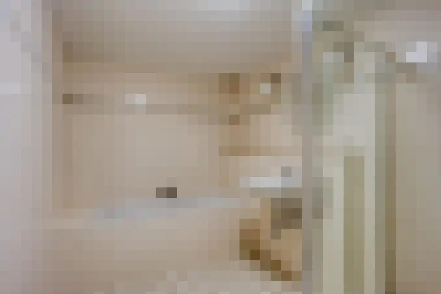 Dokter Larijweg 136 Ruinerwold thumbnail 104
