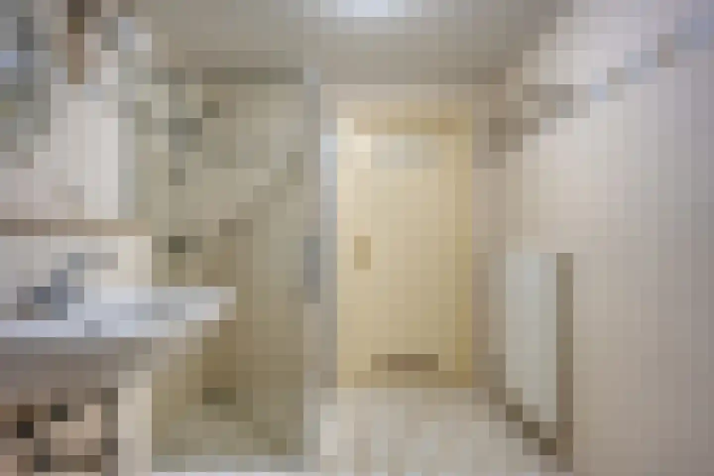Dokter Larijweg 136 Ruinerwold thumbnail 106