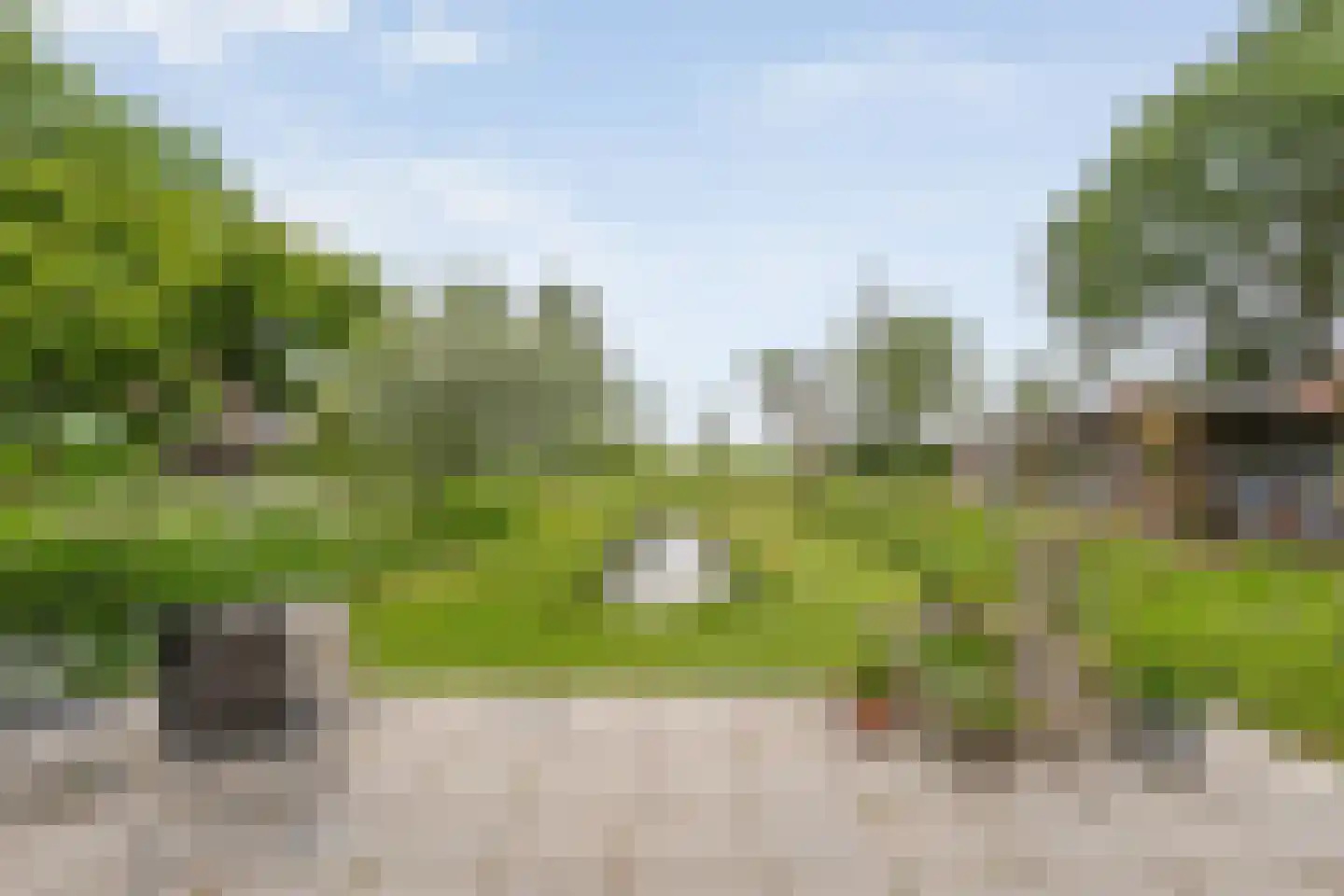 Dokter Larijweg 136 Ruinerwold thumbnail 108