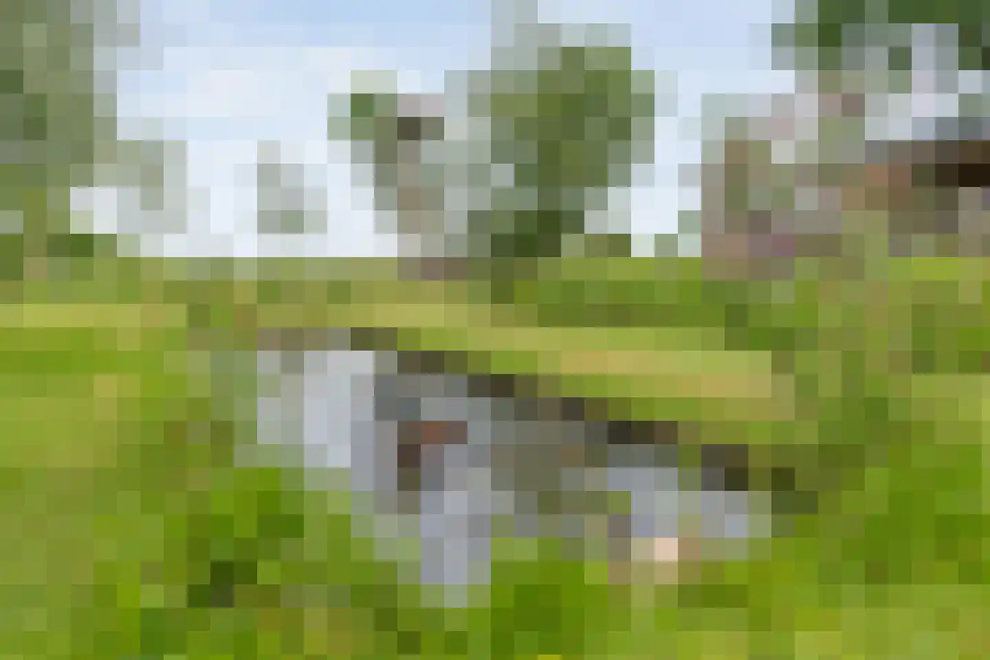 Dokter Larijweg 136 Ruinerwold thumbnail 109
