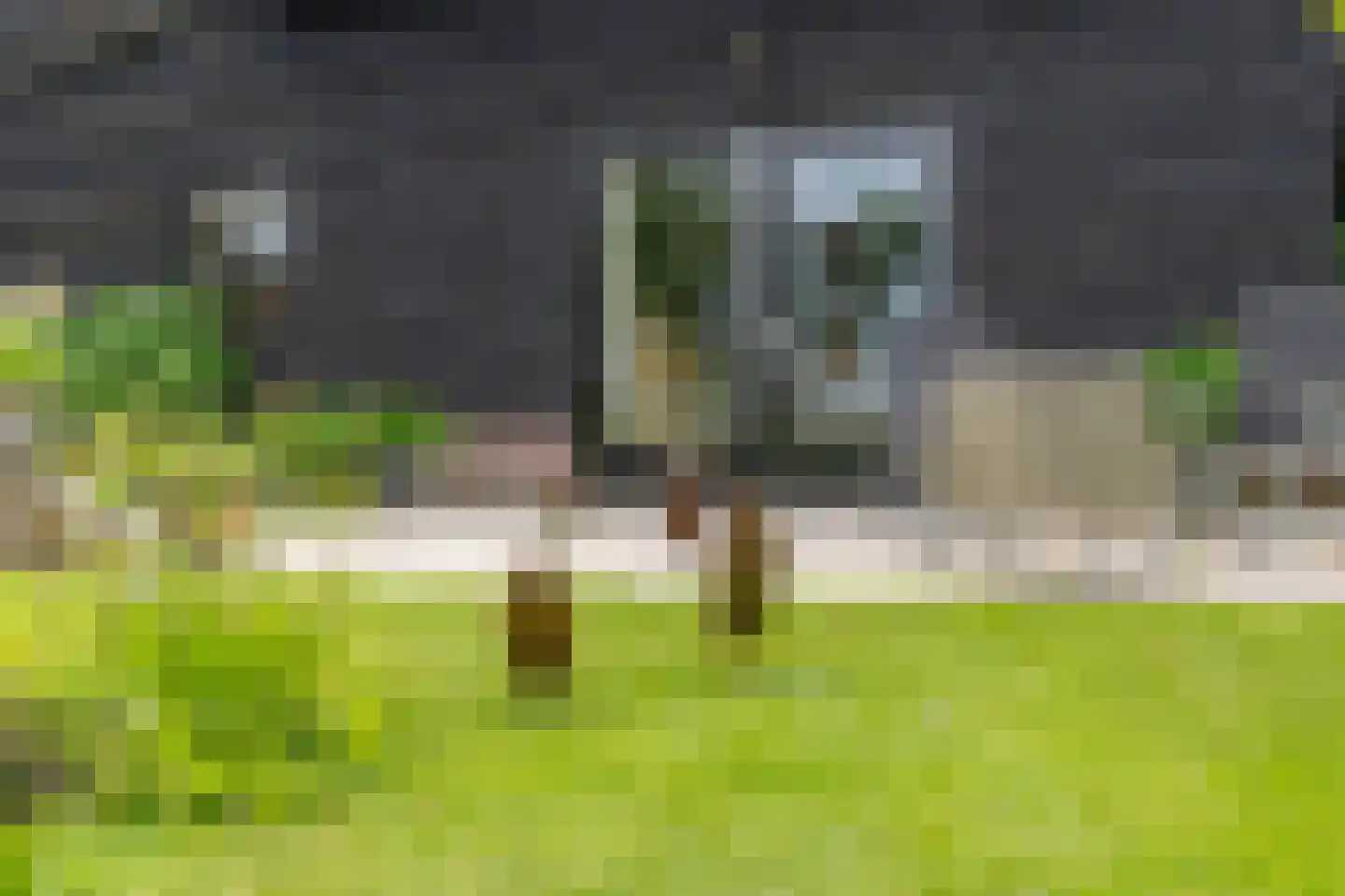 Dokter Larijweg 136 Ruinerwold thumbnail 110