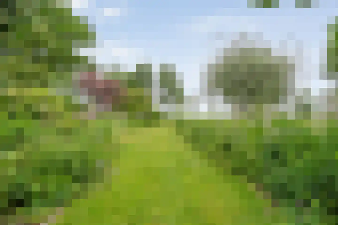 Dokter Larijweg 136 Ruinerwold thumbnail 111
