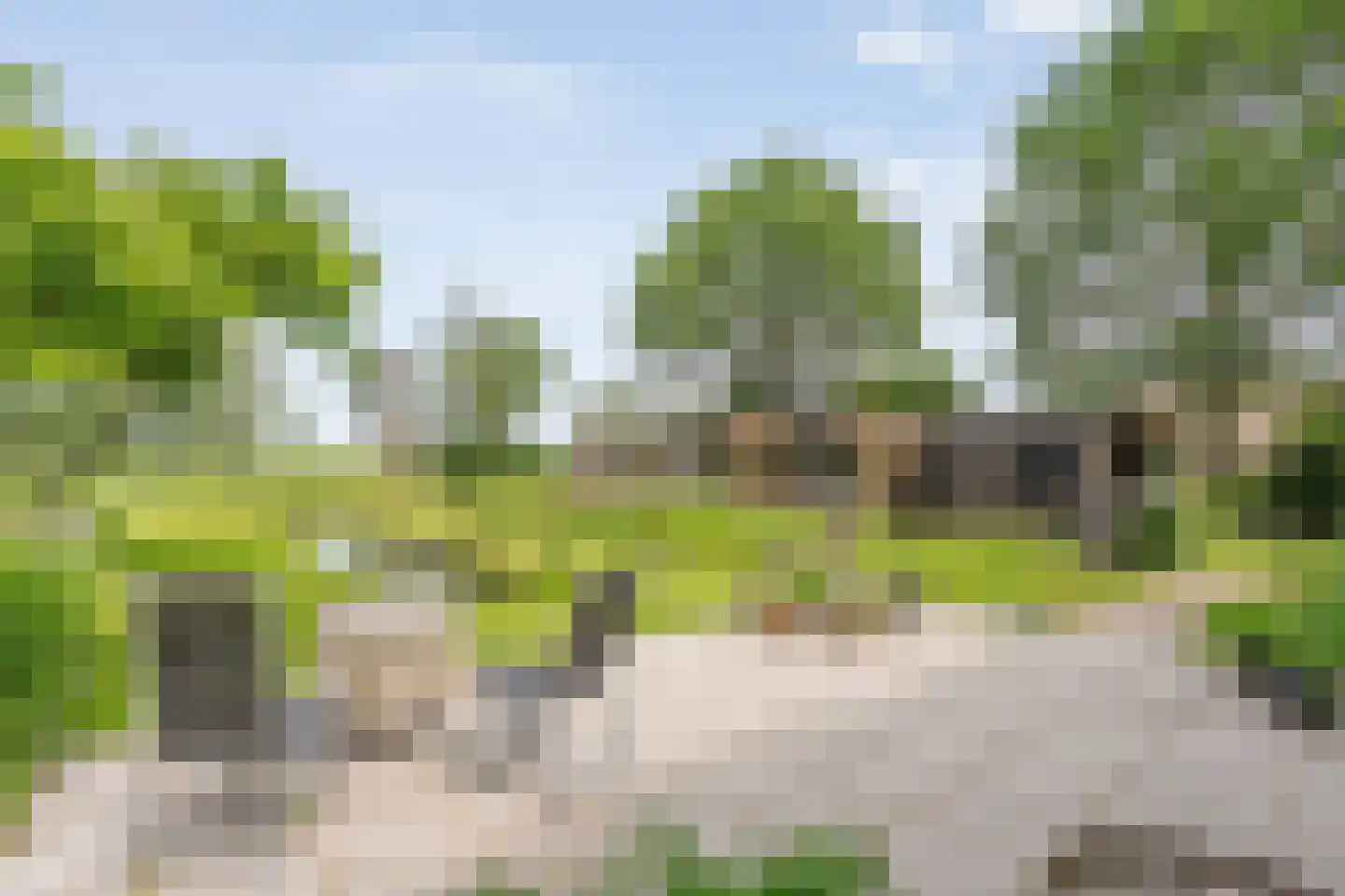 Dokter Larijweg 136 Ruinerwold thumbnail 112