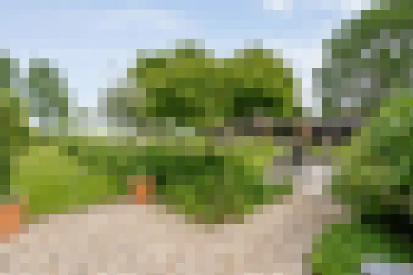 Dokter Larijweg 136 Ruinerwold thumbnail 113