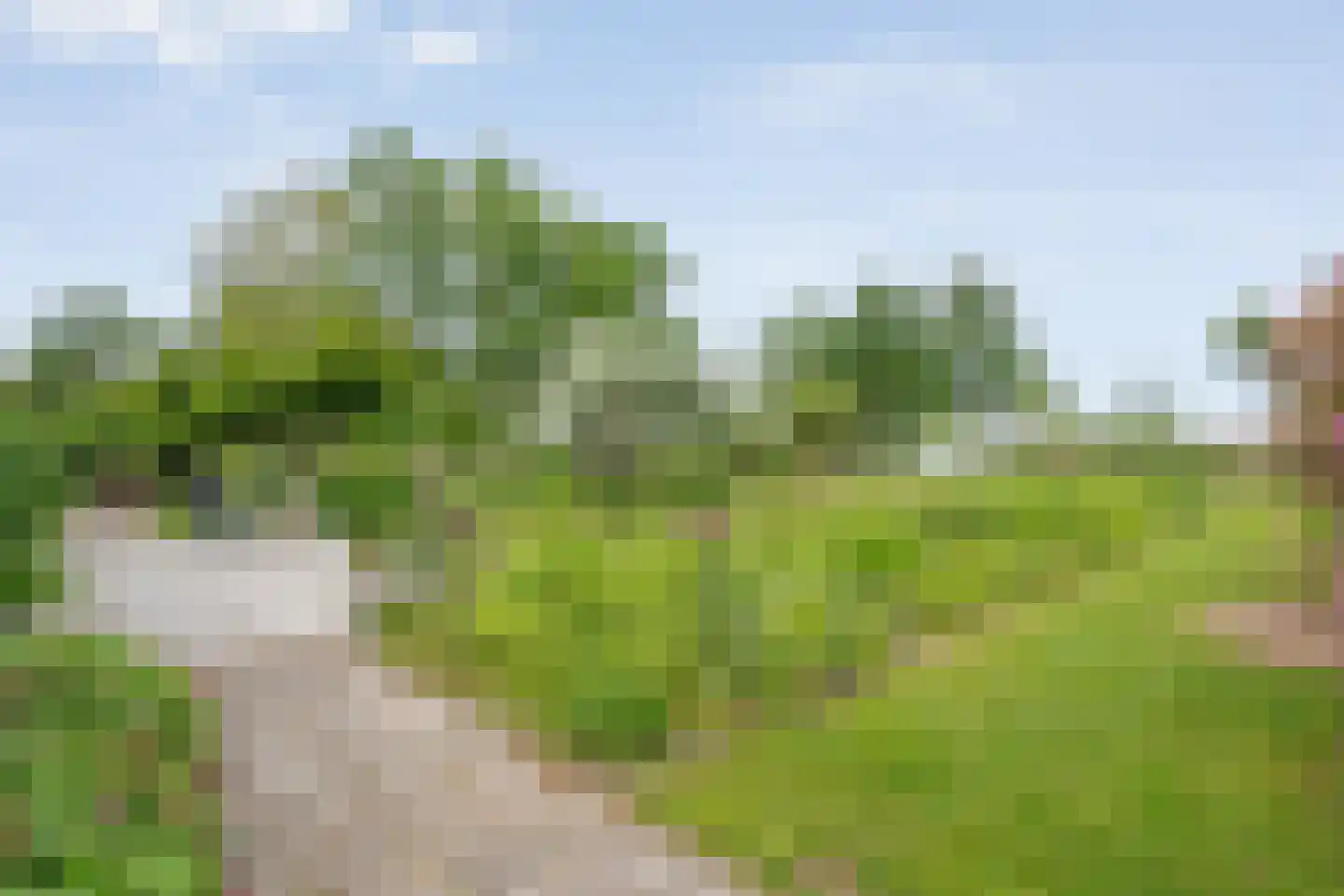Dokter Larijweg 136 Ruinerwold thumbnail 114