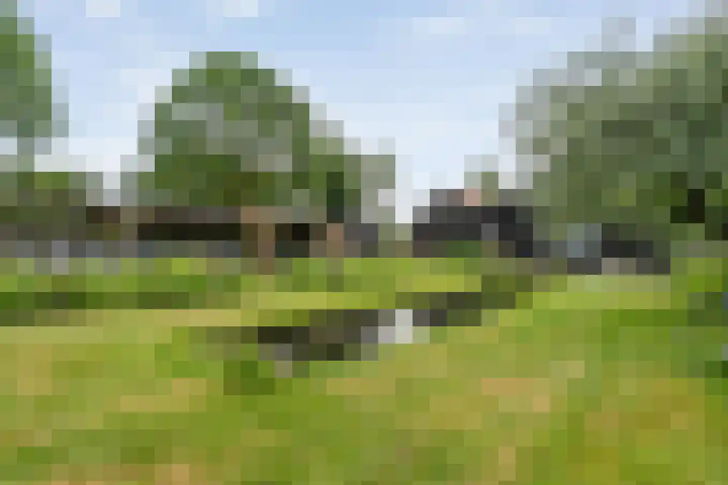 Dokter Larijweg 136 Ruinerwold thumbnail 116