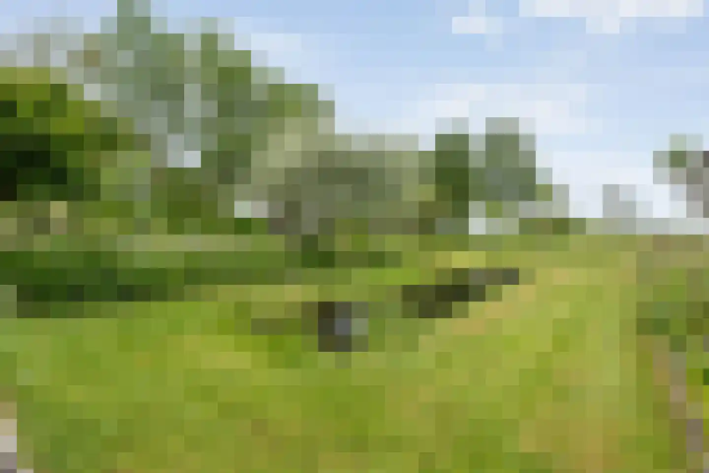Dokter Larijweg 136 Ruinerwold thumbnail 117