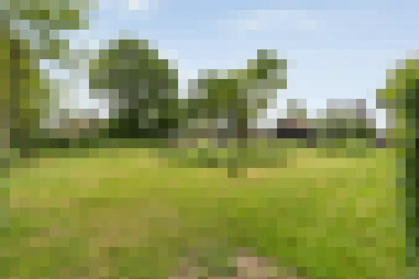 Dokter Larijweg 136 Ruinerwold thumbnail 118