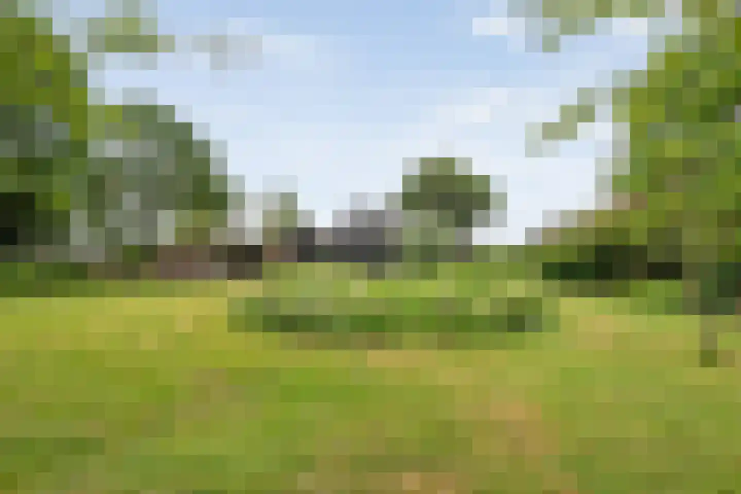 Dokter Larijweg 136 Ruinerwold thumbnail 119