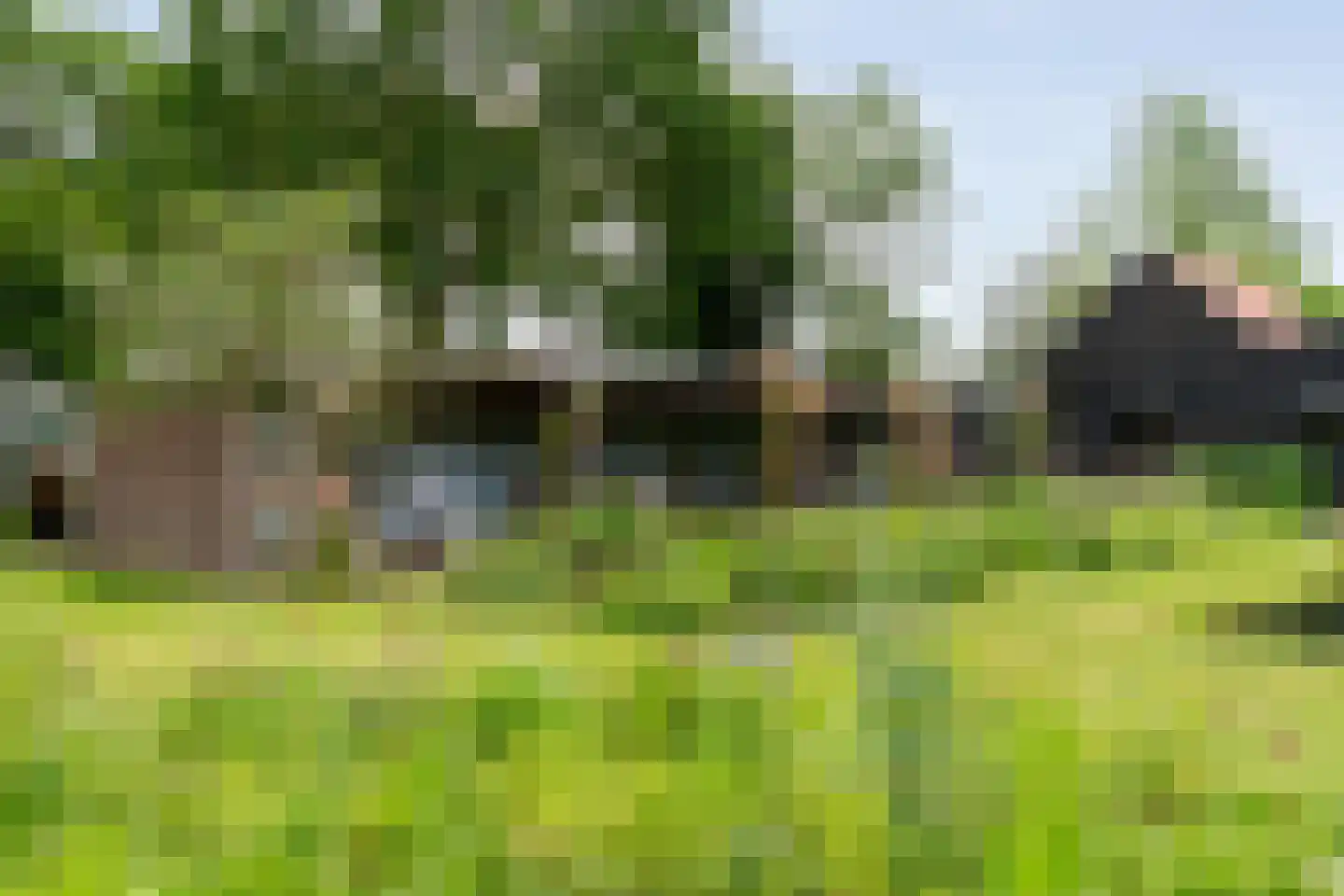 Dokter Larijweg 136 Ruinerwold thumbnail 120