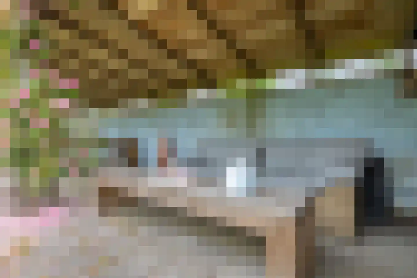 Dokter Larijweg 136 Ruinerwold thumbnail 121