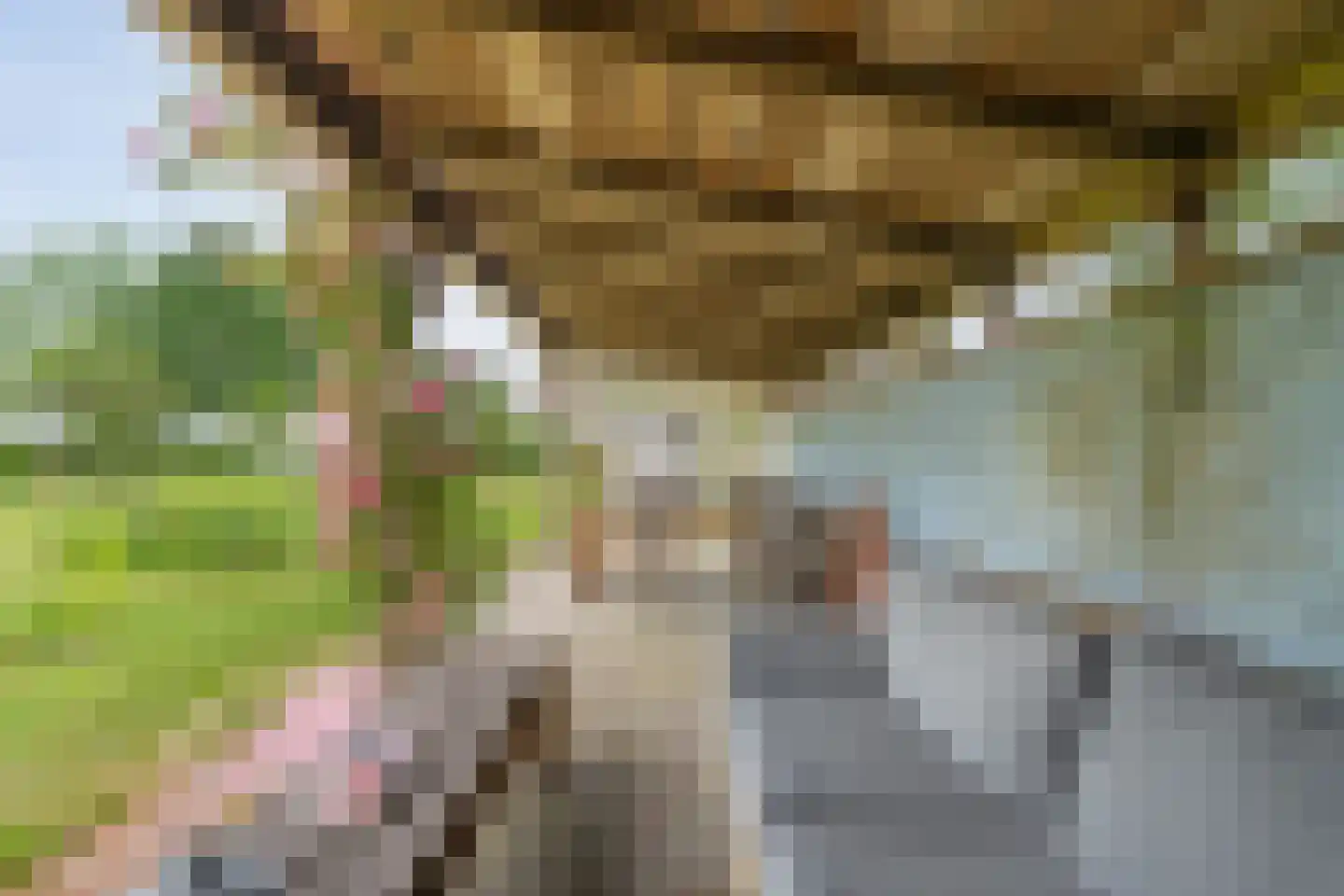 Dokter Larijweg 136 Ruinerwold thumbnail 122