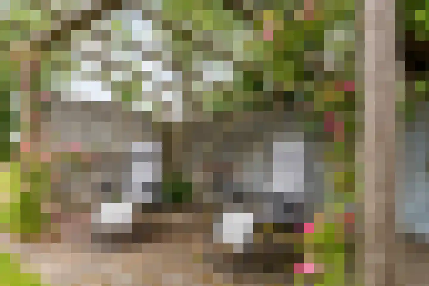 Dokter Larijweg 136 Ruinerwold thumbnail 125