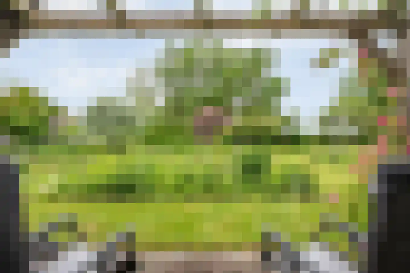 Dokter Larijweg 136 Ruinerwold thumbnail 126