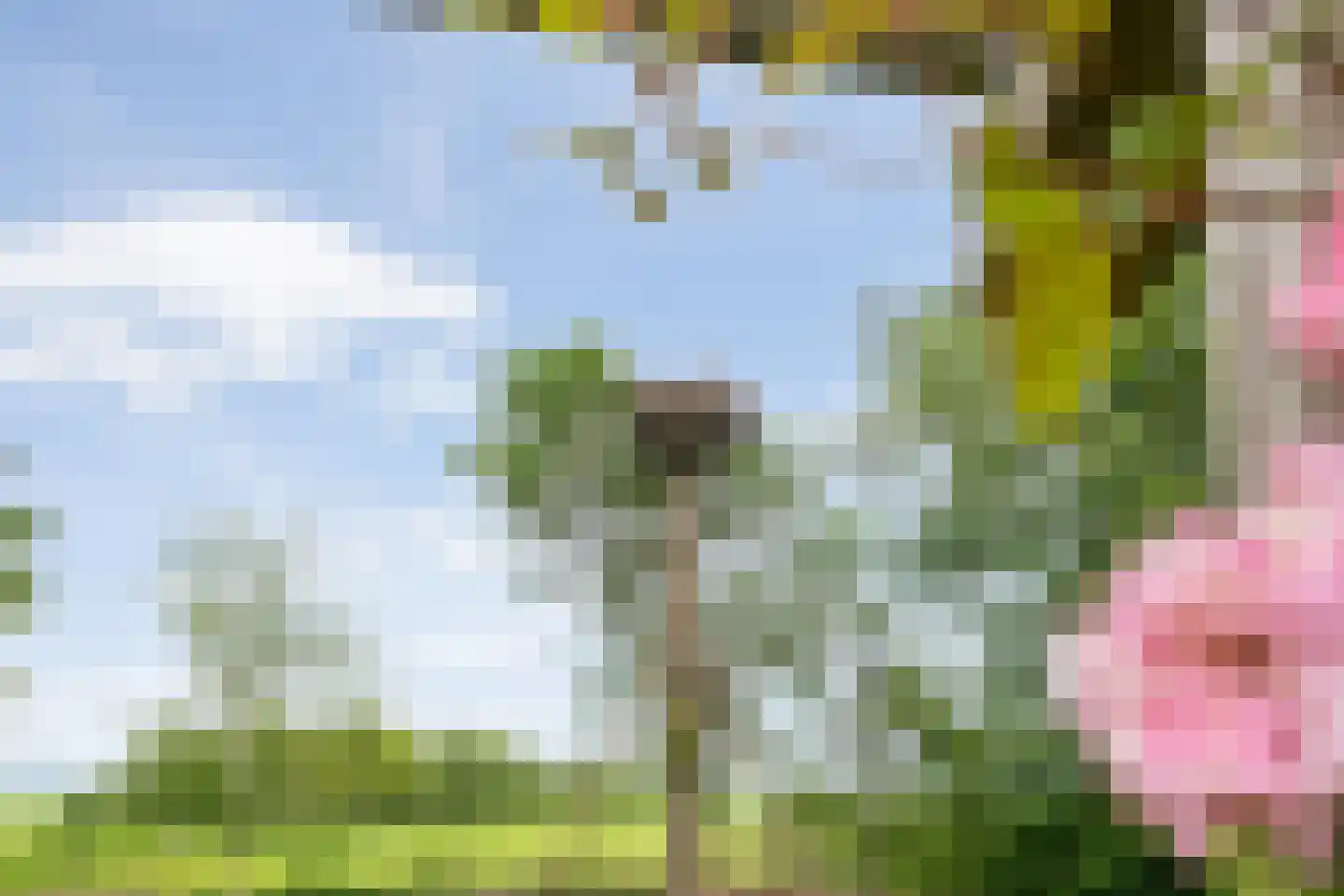 Dokter Larijweg 136 Ruinerwold thumbnail 127