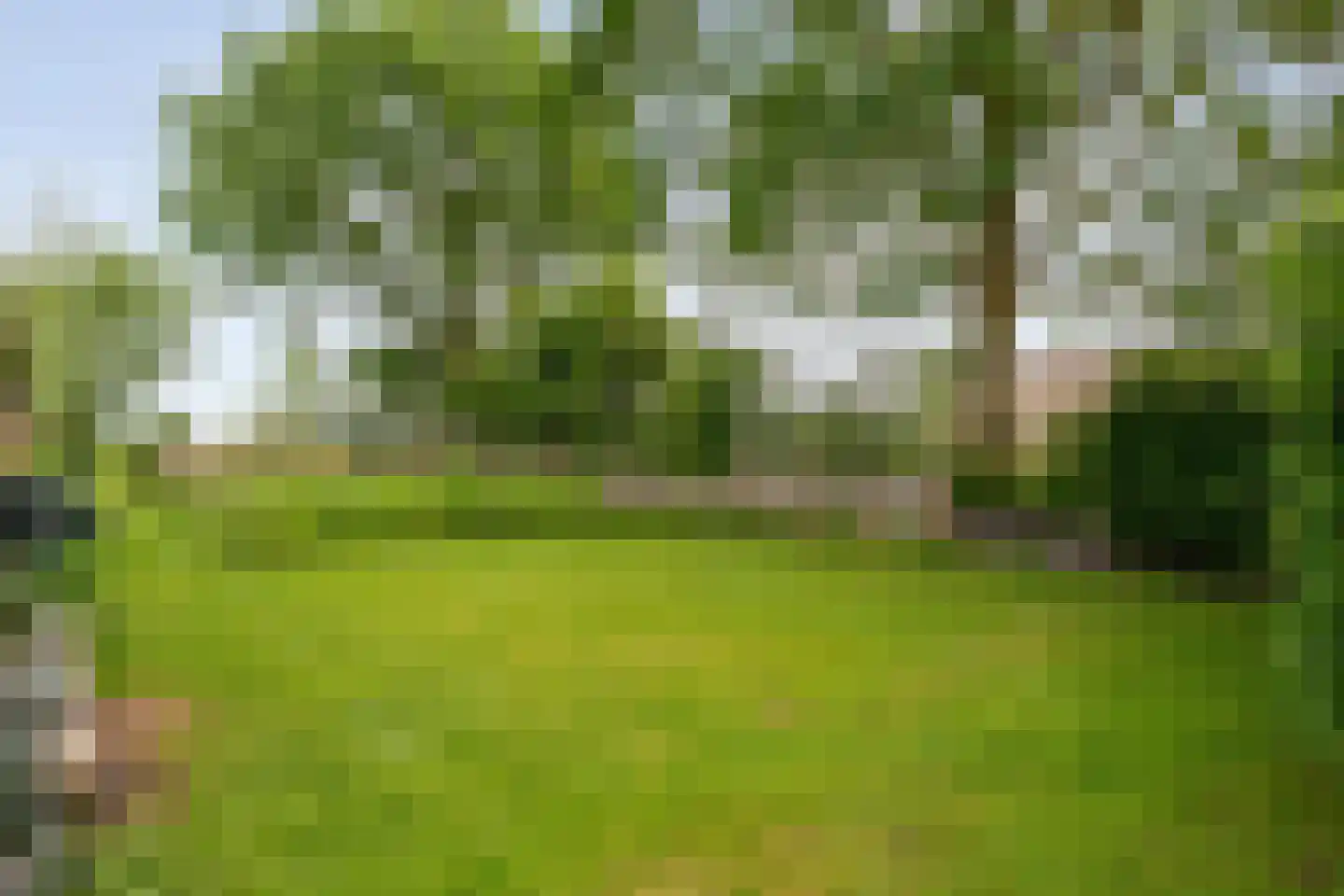 Dokter Larijweg 136 Ruinerwold thumbnail 129