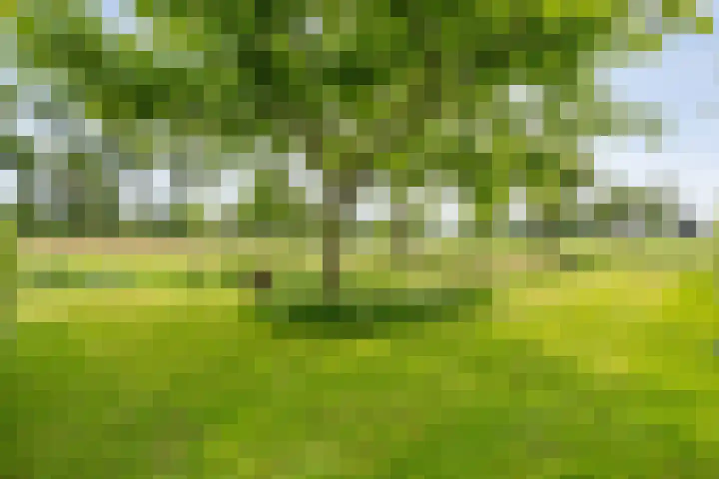 Dokter Larijweg 136 Ruinerwold thumbnail 13