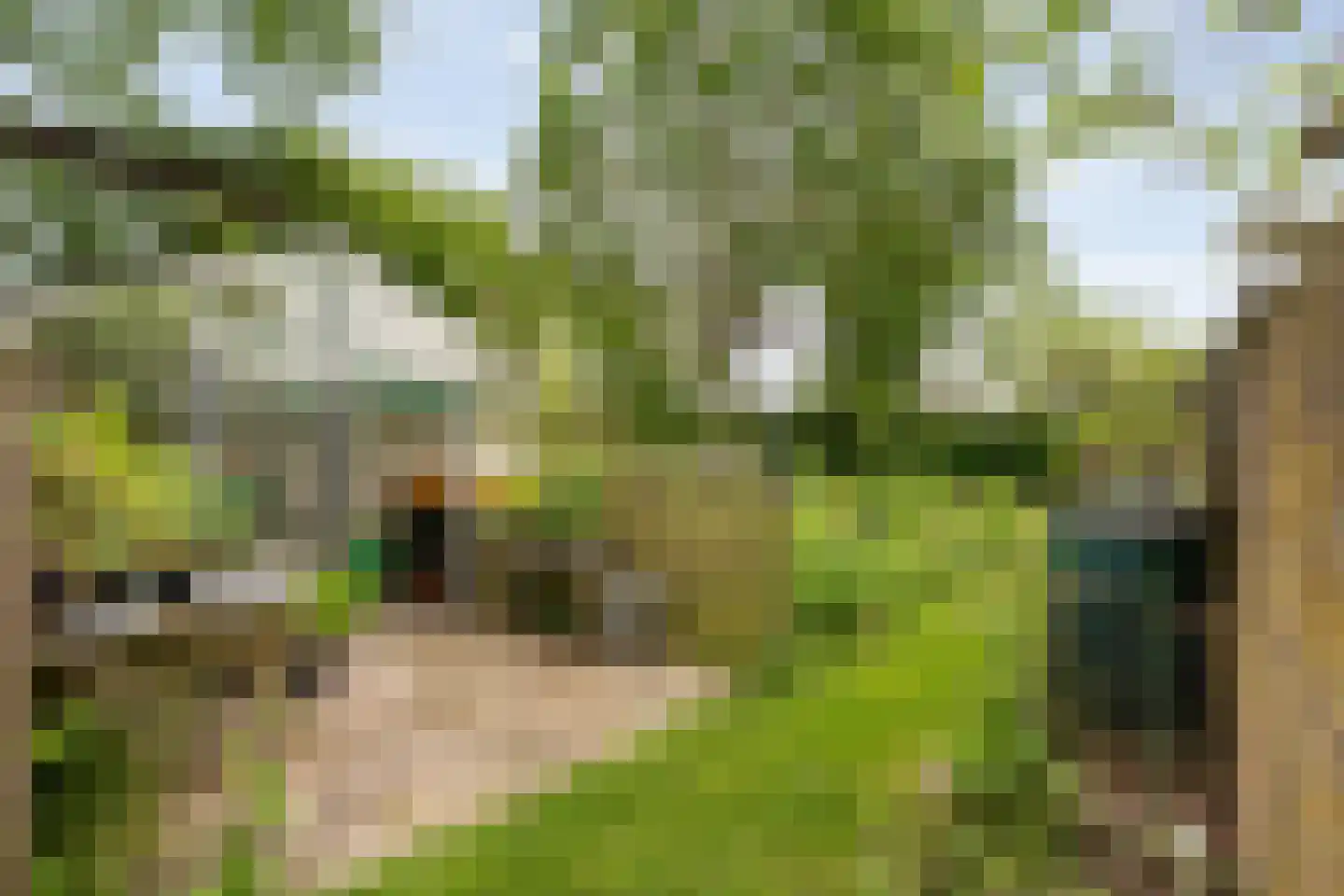 Dokter Larijweg 136 Ruinerwold thumbnail 130