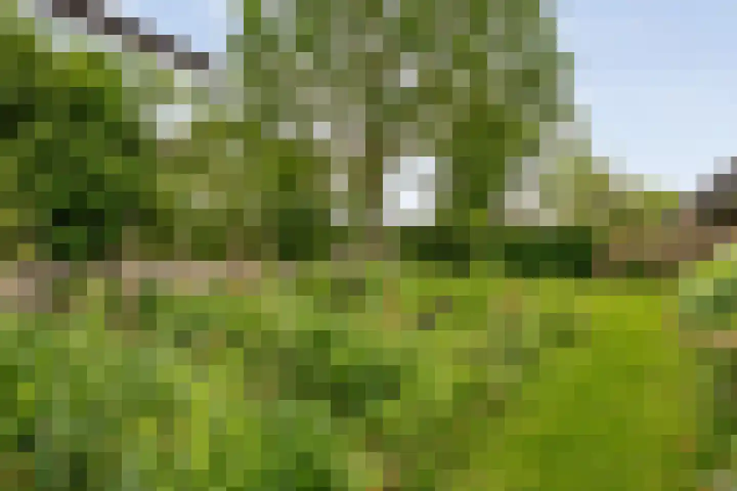 Dokter Larijweg 136 Ruinerwold thumbnail 131