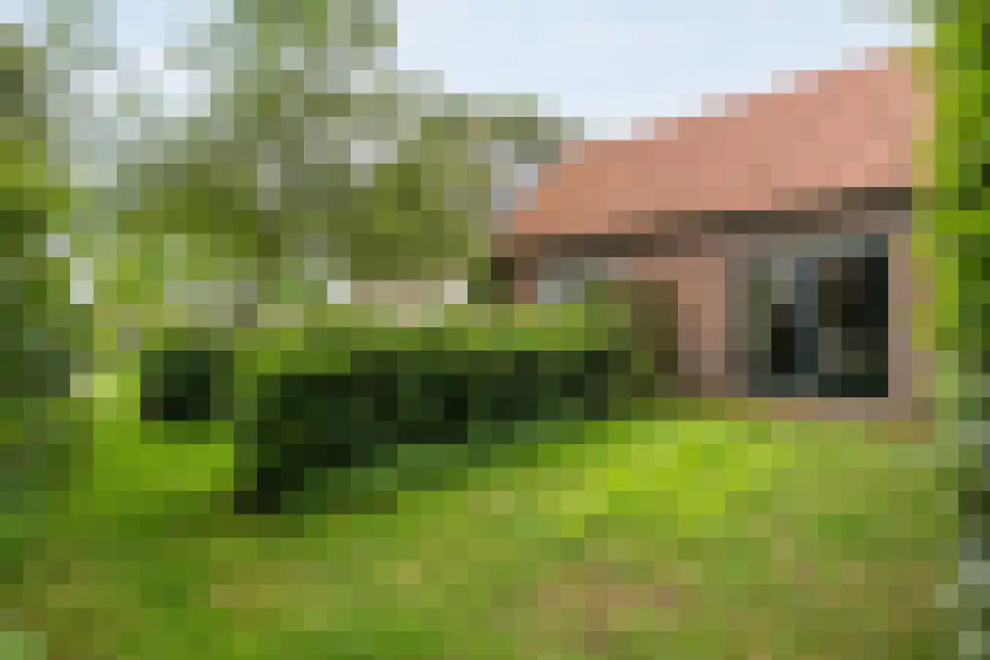 Dokter Larijweg 136 Ruinerwold thumbnail 132
