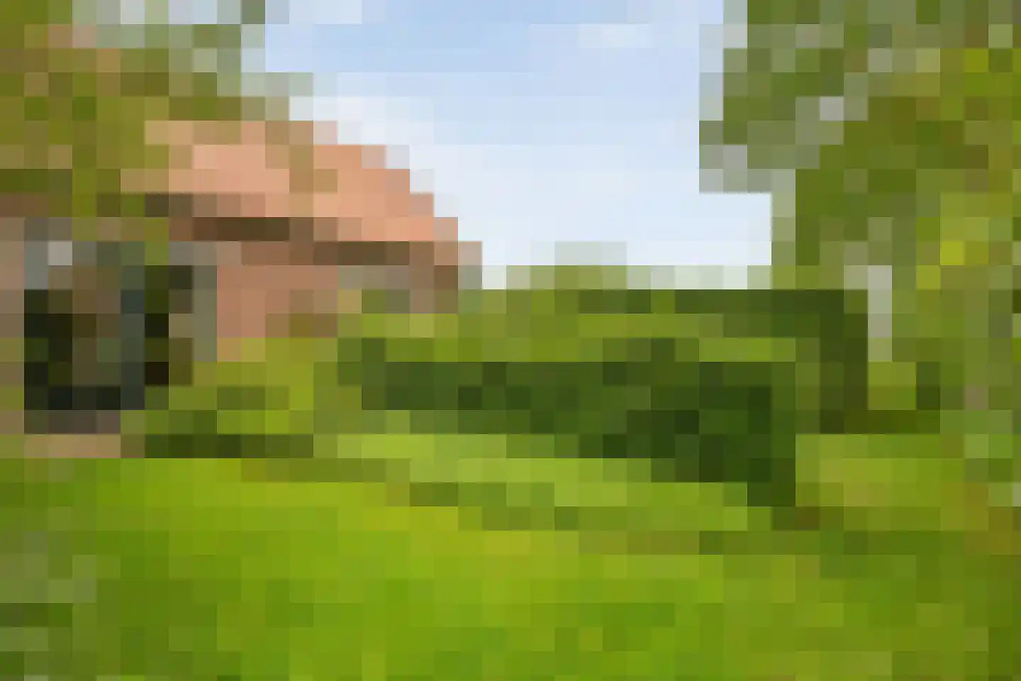 Dokter Larijweg 136 Ruinerwold thumbnail 133