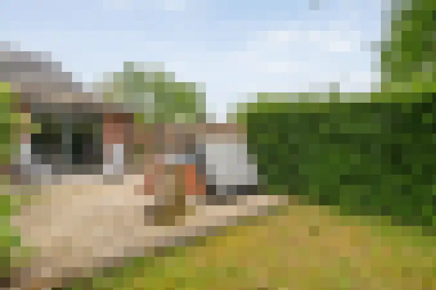 Dokter Larijweg 136 Ruinerwold thumbnail 134