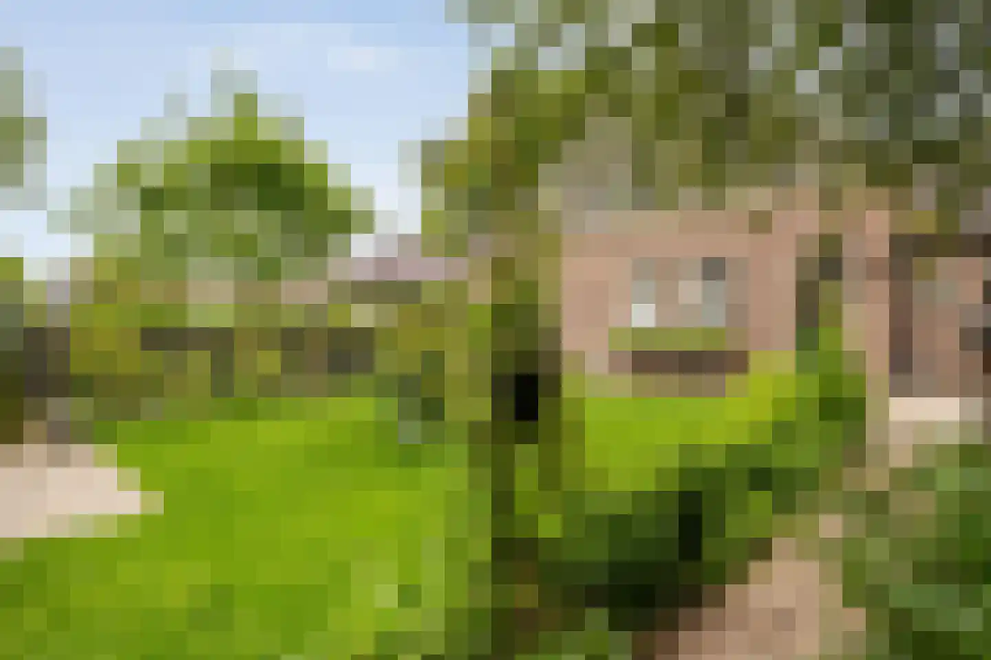 Dokter Larijweg 136 Ruinerwold thumbnail 137