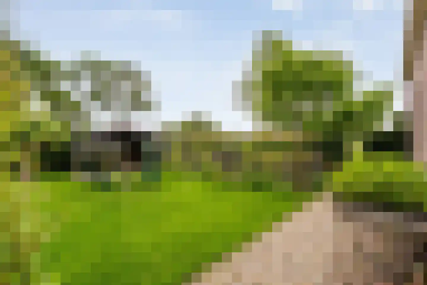 Dokter Larijweg 136 Ruinerwold thumbnail 138