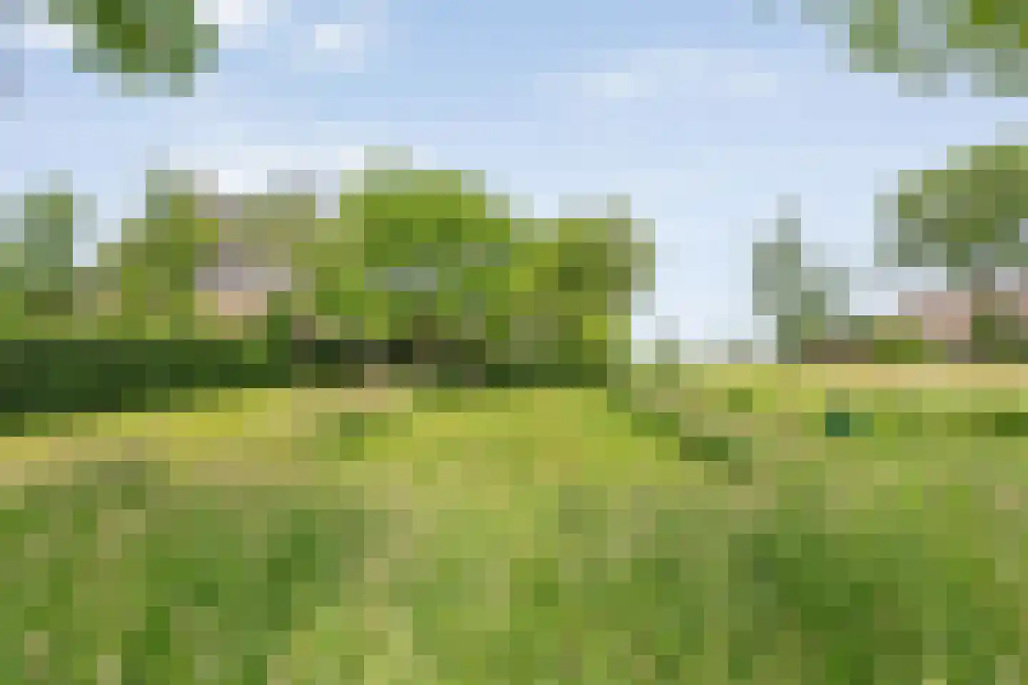 Dokter Larijweg 136 Ruinerwold thumbnail 14