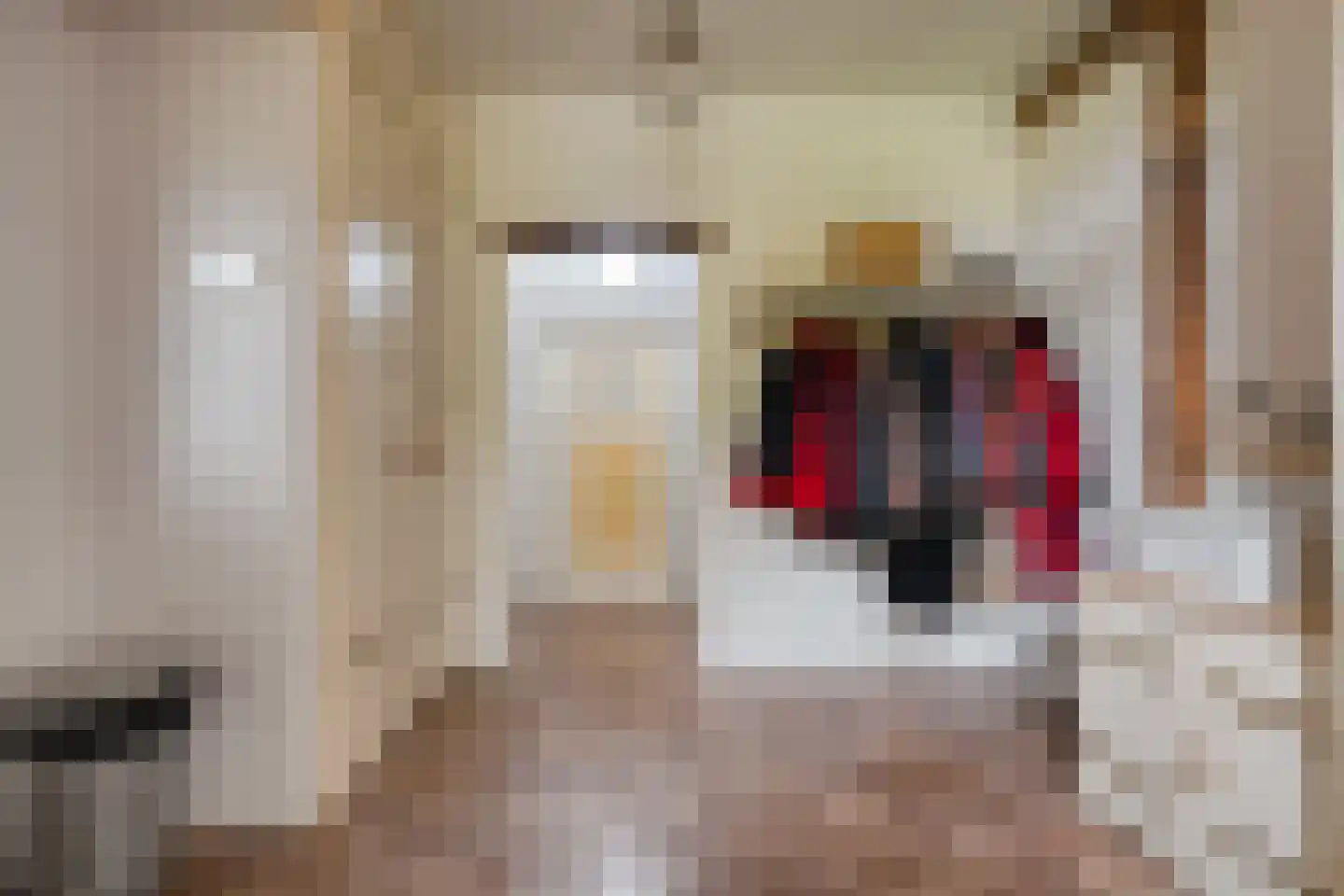 Dokter Larijweg 136 Ruinerwold thumbnail 22