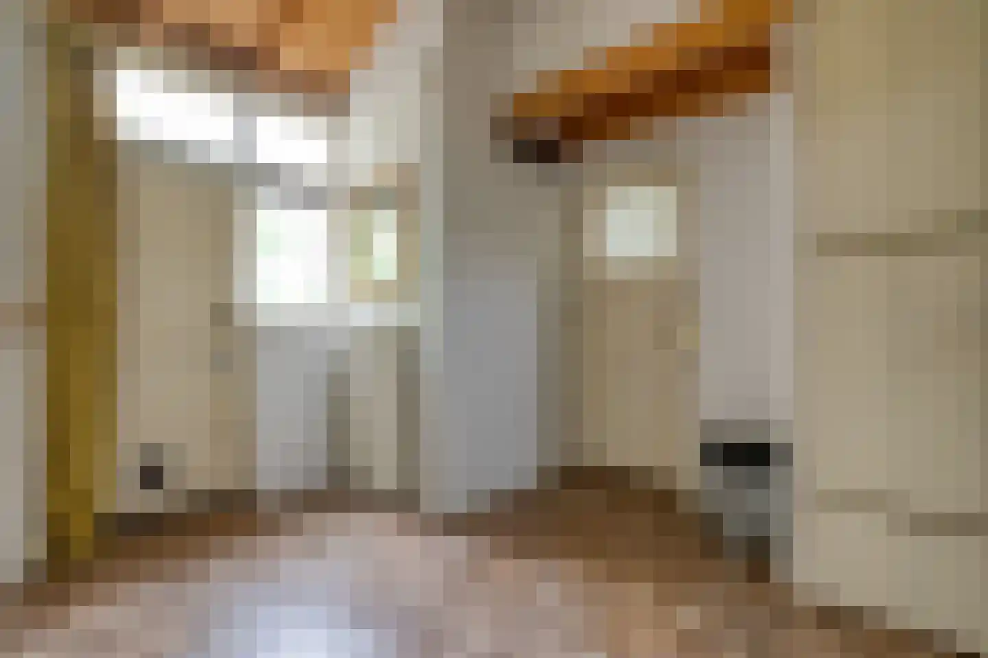 Dokter Larijweg 136 Ruinerwold thumbnail 23