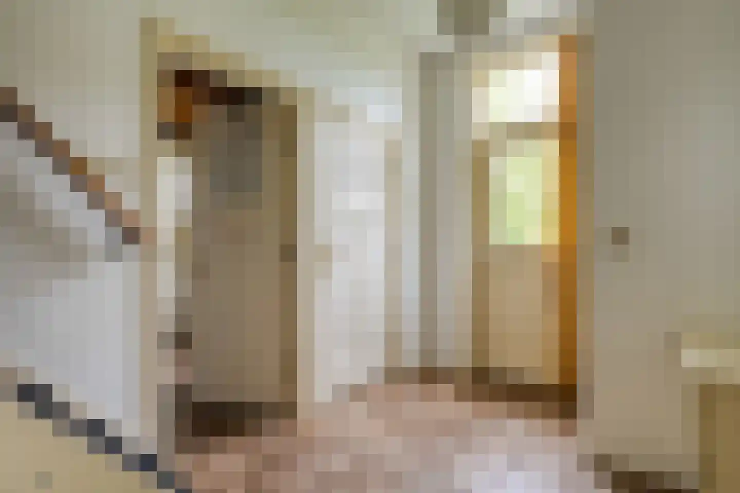 Dokter Larijweg 136 Ruinerwold thumbnail 27