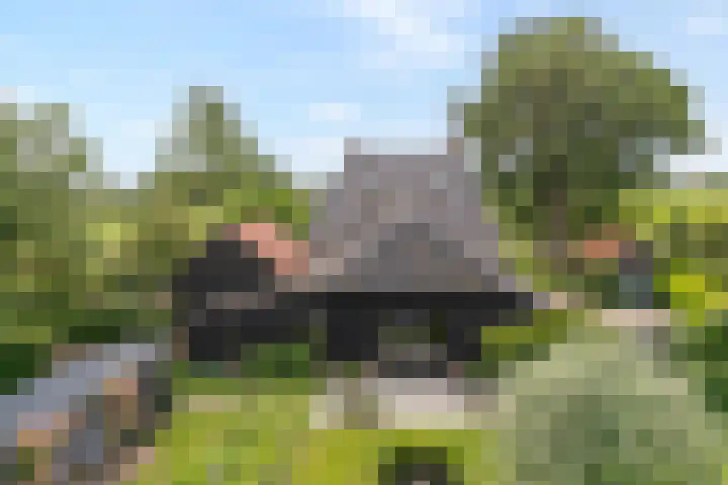 Dokter Larijweg 136 Ruinerwold foto 3