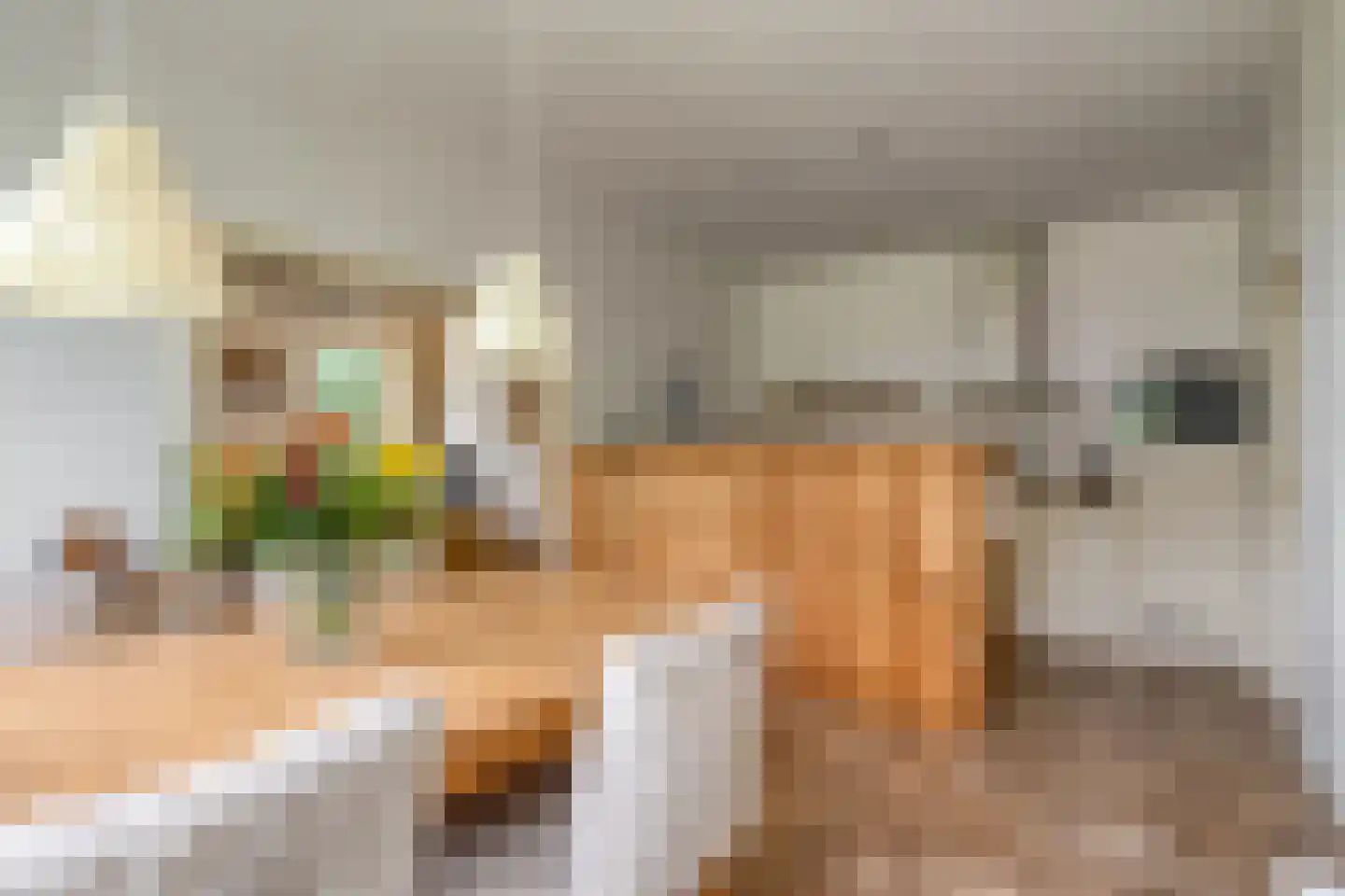 Dokter Larijweg 136 Ruinerwold thumbnail 30