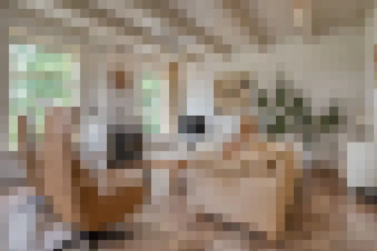 Dokter Larijweg 136 Ruinerwold thumbnail 35