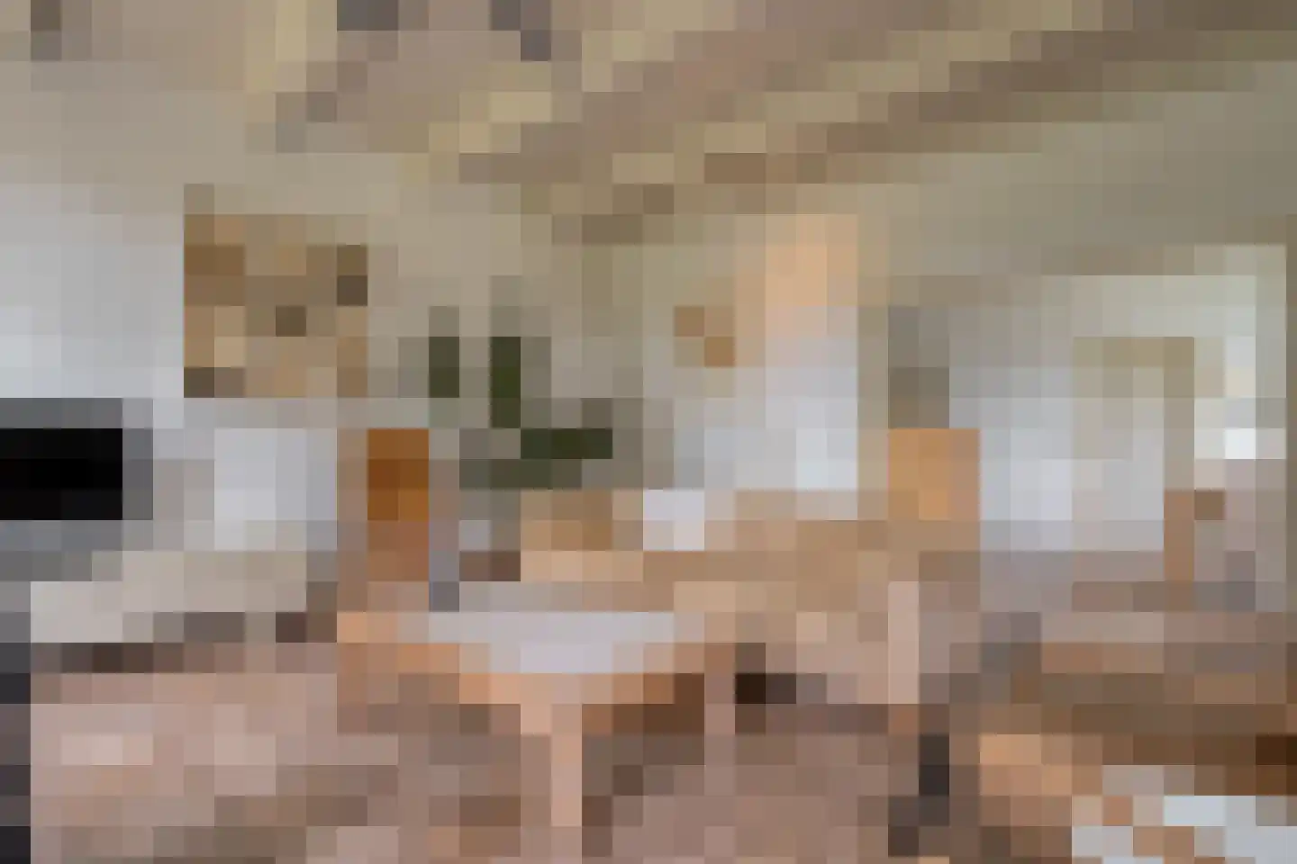 Dokter Larijweg 136 Ruinerwold thumbnail 36
