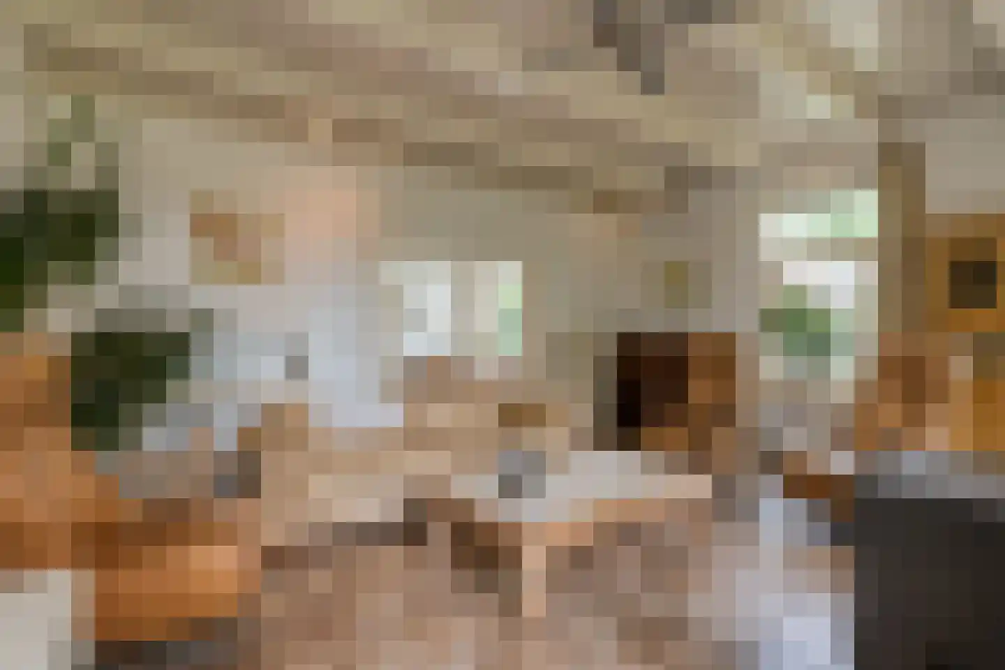 Dokter Larijweg 136 Ruinerwold thumbnail 38