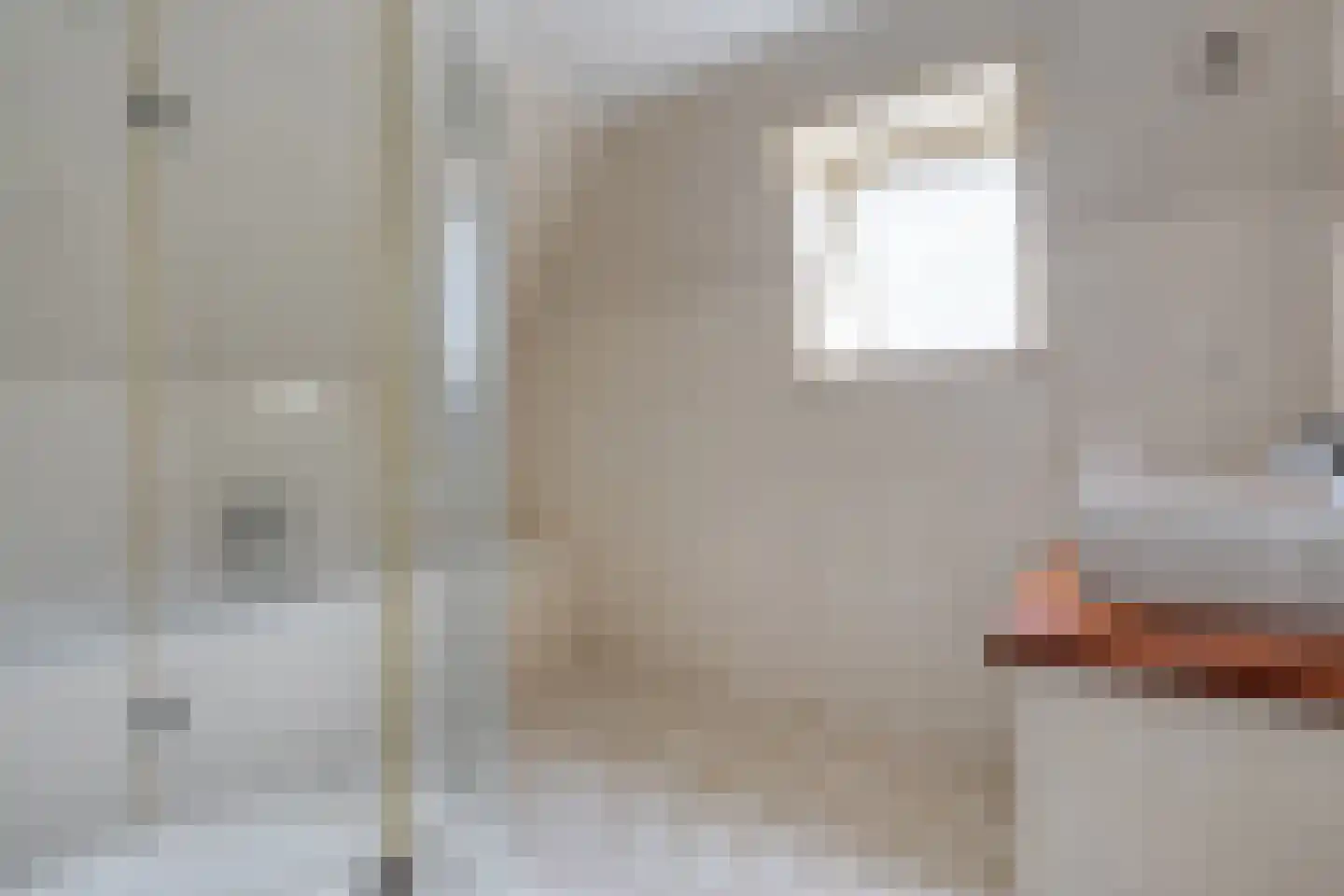Dokter Larijweg 136 Ruinerwold thumbnail 45